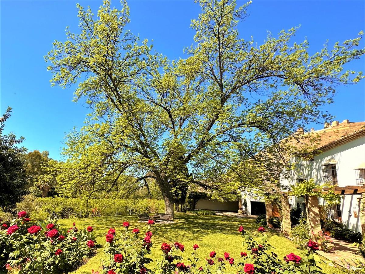 Willa Casa Santa Catalina Álora Zewnętrze zdjęcie